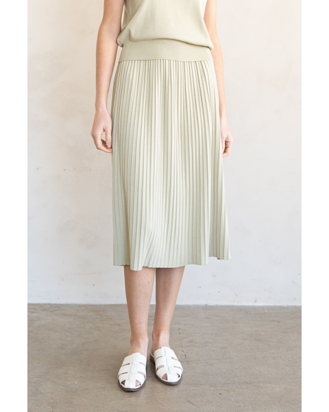 Janell Knit Pleated Skirt