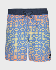 Quicksilver Boys Everyday Volley Trunk QWFJK01F