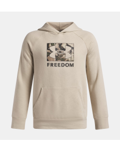 Under Armour Boys Freedom Big Flag Hoodie 6005758